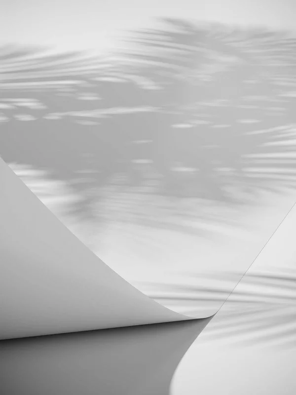 2026_06_14_384891