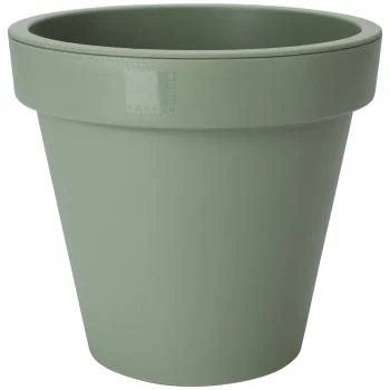casativo20260613163909284158