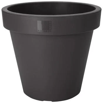 casativo20260613164041284417