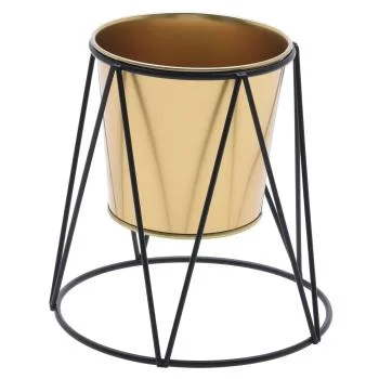 casativo20260613164729285533