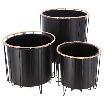 casativo20260613165020286018