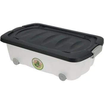 casativo20260613170218288497