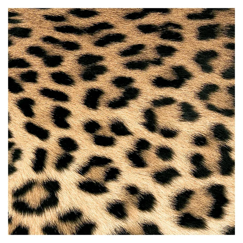 trendversand20260613164145284595